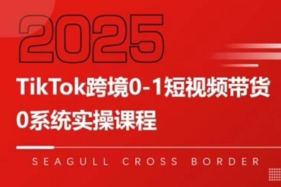 TikTok跨境0-1短视频带货,系统拆解TikTok跨境带货全链路,实现跨境可持续盈利插图 TikTok跨境0-1短视频带货,系统拆解TikTok跨境带货全链路,实现跨境可持续盈利