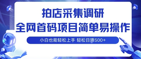 拍店采集调研,全网首码项目,简单易操作, 小白也能轻松上手,多账号操作,轻松日入5张【揭秘】插图 拍店采集调研,全网首码项目,简单易操作, 小白也能轻松上手,多账号操作,轻松日入5张【揭秘】